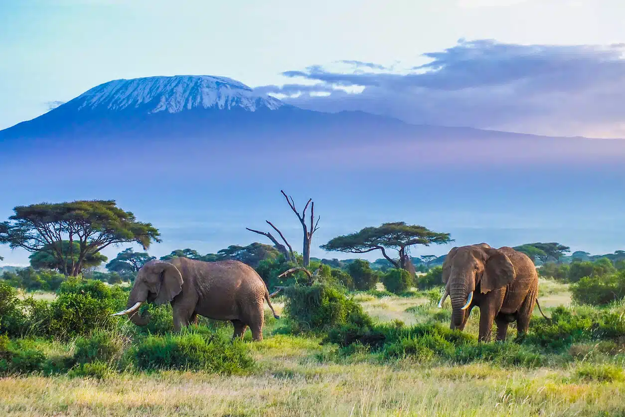 Comment préparer votre voyage en Tanzanie